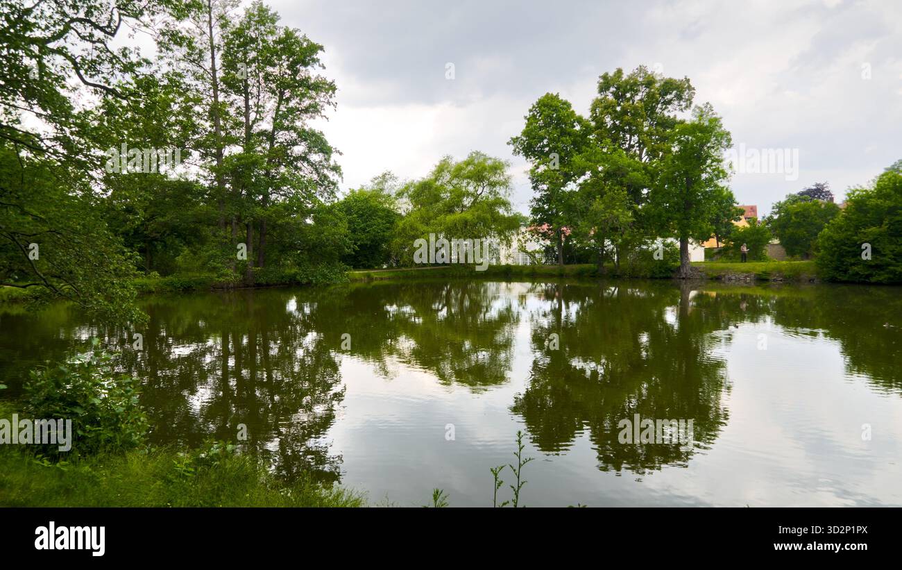 Blick auf einen kleinen Teich im Park von Schloss Pillnitz, umgeben von Grün und ruhiger Gartenlandschaft. Stockfoto