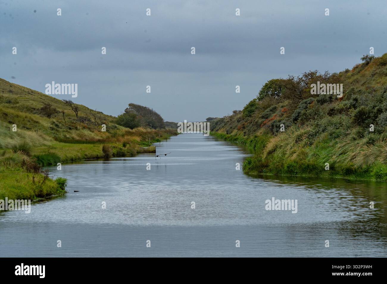 Wasserkanallandschaft in Amsterdamse Waterleidingduinen Stockfoto
