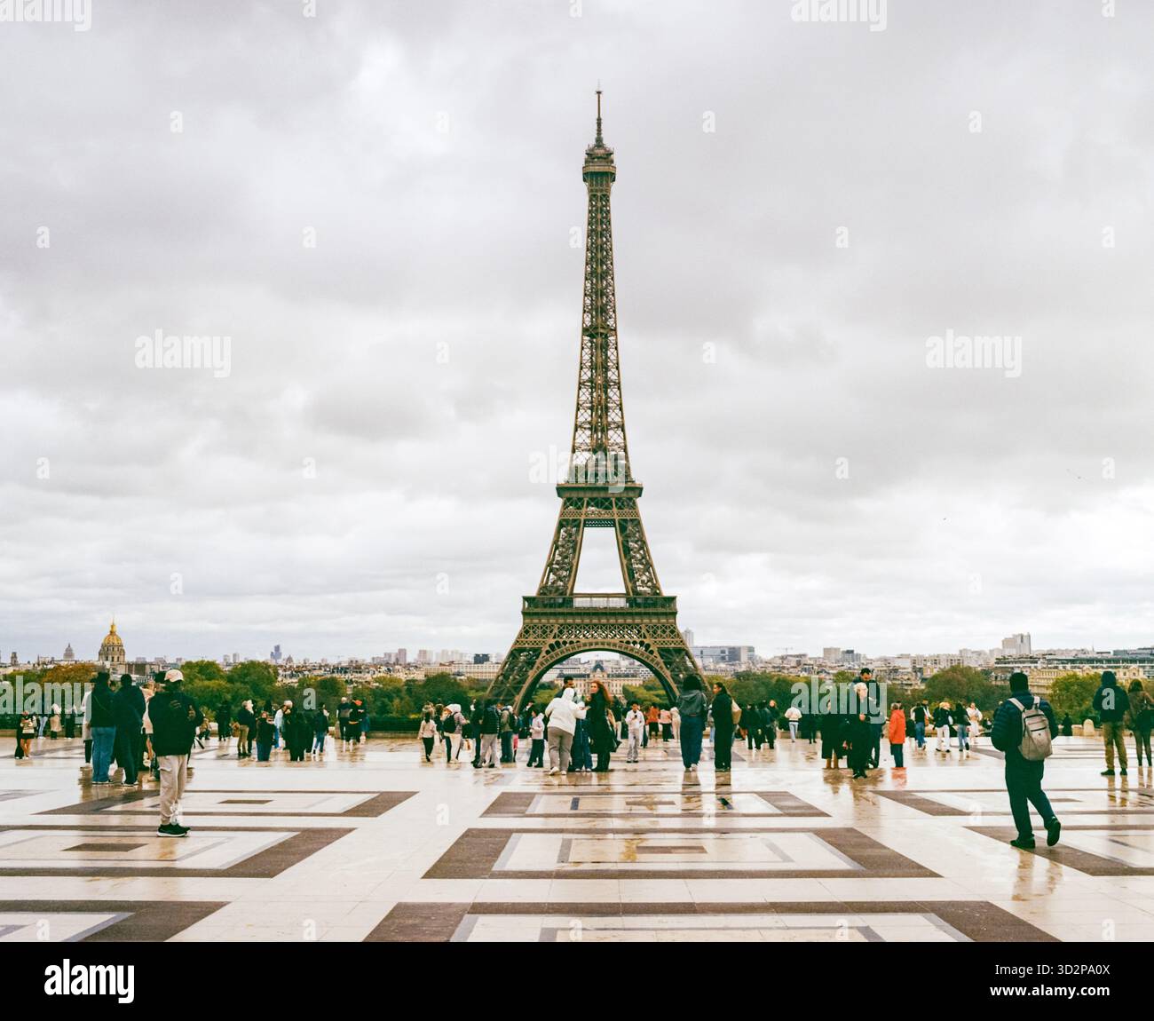 Eiffelturm fotografiert aus dem Trocadéro Paris Frankreich. Stockfoto