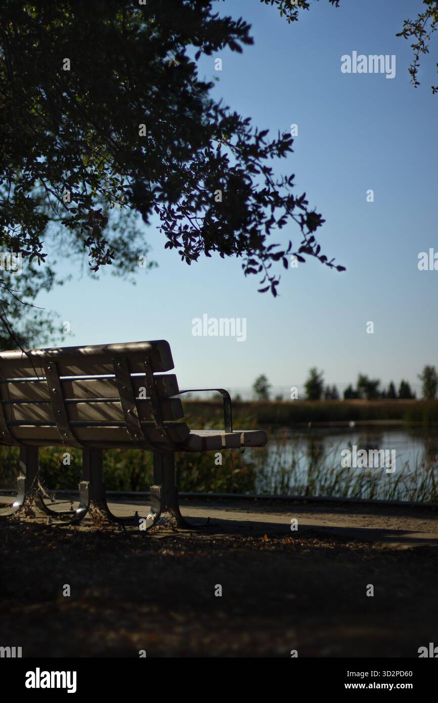 Eine Holzbank steht im Schatten der Bäume und bietet an einem sonnigen Nachmittag einen friedlichen Blick auf den ruhigen See. Stockfoto