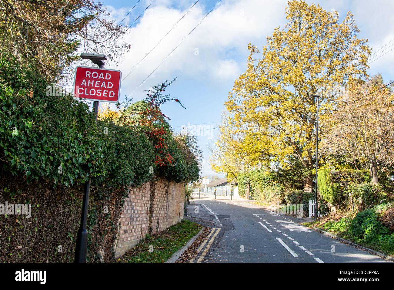 Rotes Schild „Road Ahead Closed“ am Straßenrand, das die Fahrer vor einer Straßensperrung oder -Umlenkung auf einer britischen Straße warnt. Stockfoto