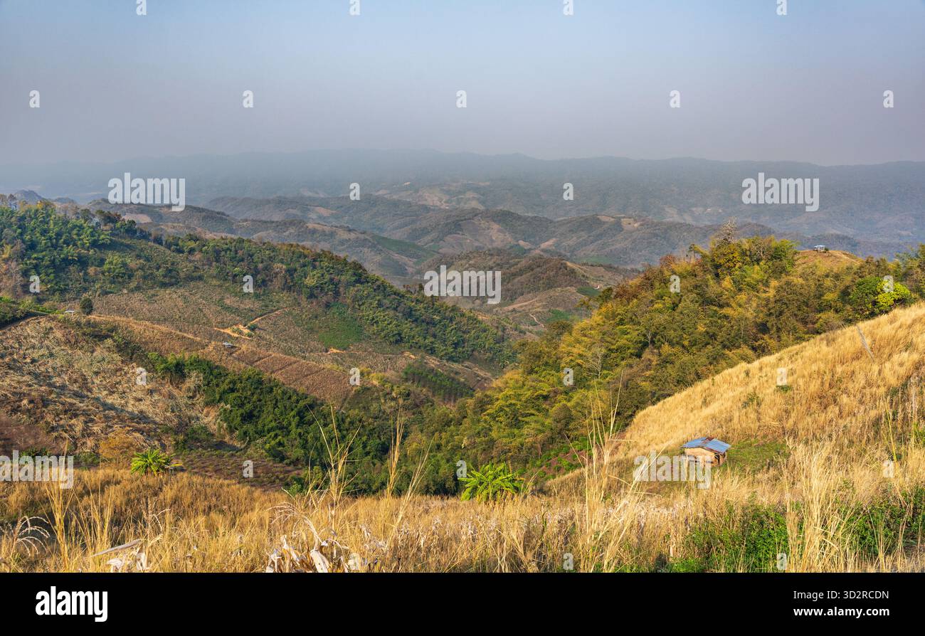 Die Hauptursache für Waldverluste ist die Entwaldung der Landwirtschaft, Umweltschäden in Südostasien, die globale Erwärmung und die Umwelt. Stockfoto