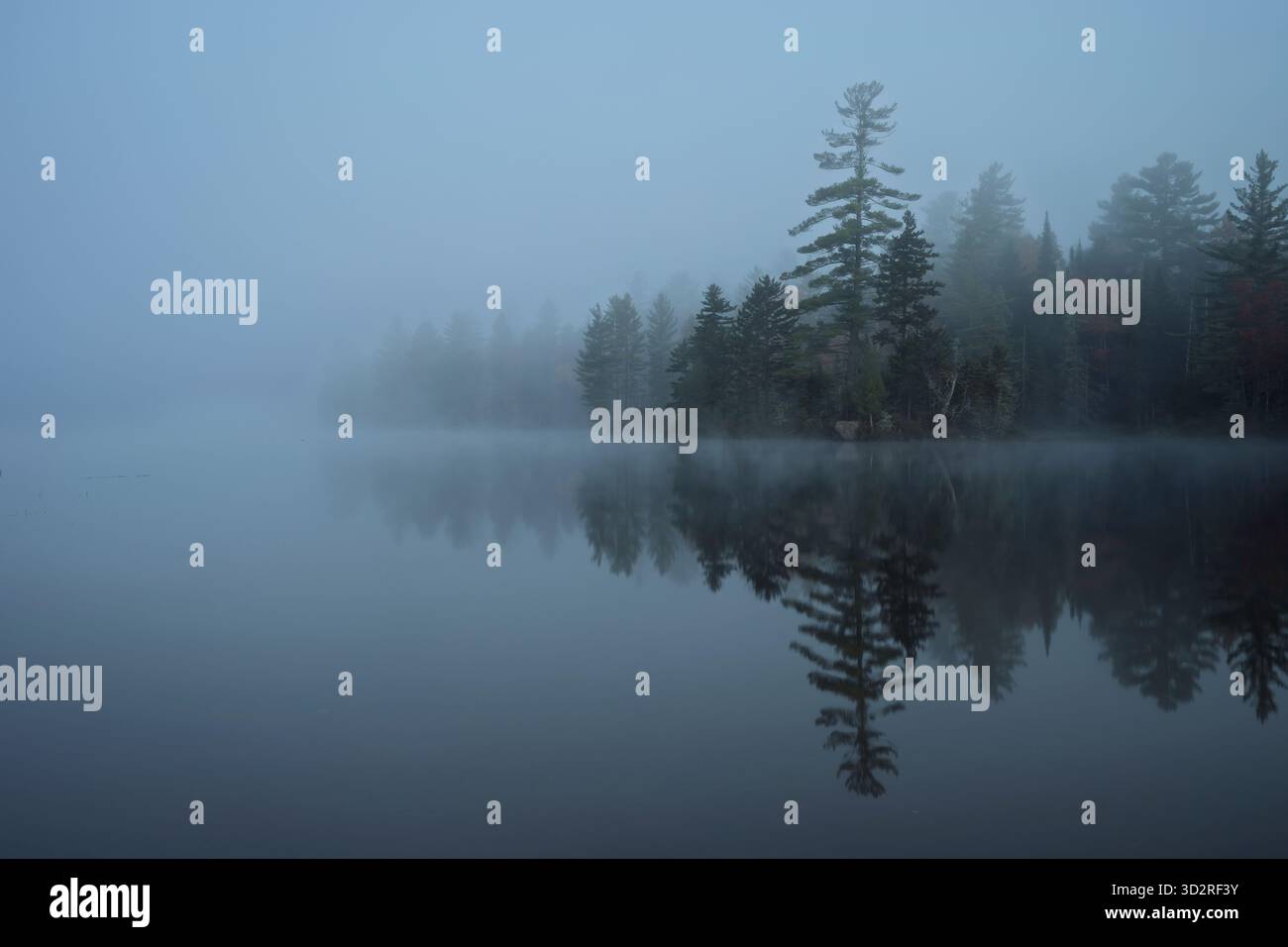 Ein nebeliger Start in den Tag am Lake Durant im Adirondack Park, New York. Stockfoto