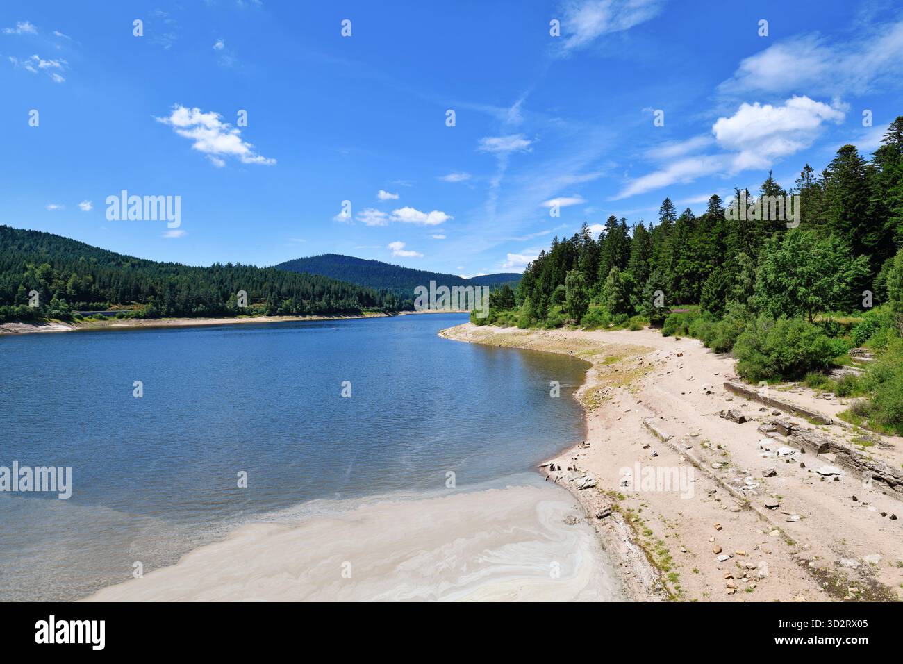 Schöner Bergsee im Schwarzwald in Forbach, genannt Schwarzenbachsee, umgeben von bewaldeten Hügeln unter klarem Himmel Stockfoto