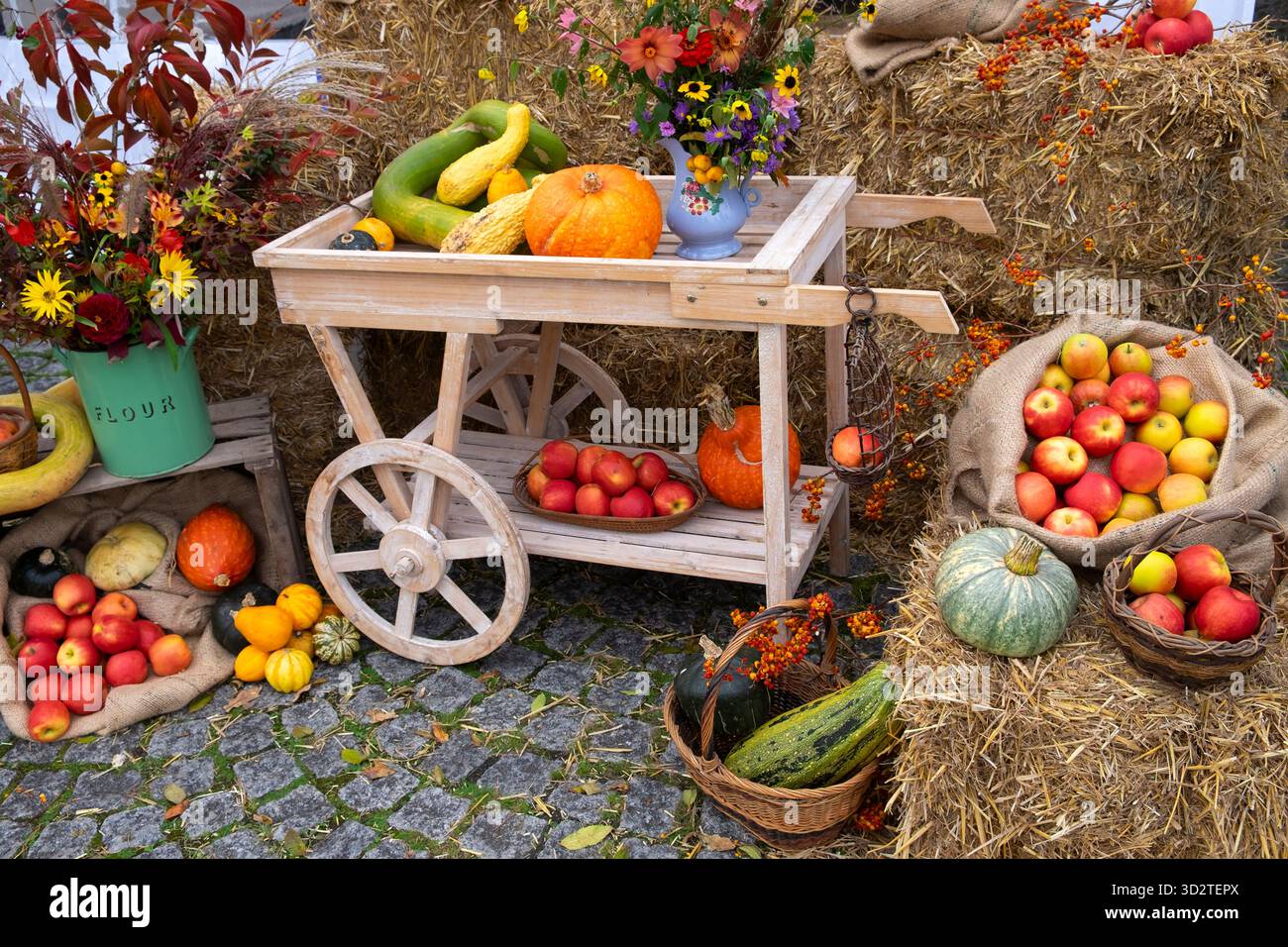 National Botanic Garden of Wales UK KATHY DEWITT Stockfoto