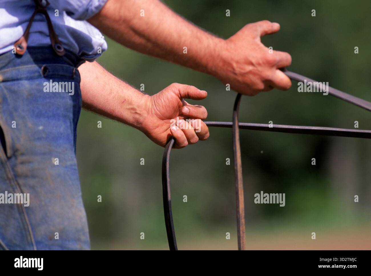 Hände und Reigns. Stockfoto