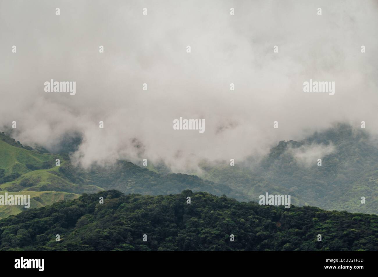 Nebel über die grünen Hügel von Monteverde, Costa Rica Stockfoto