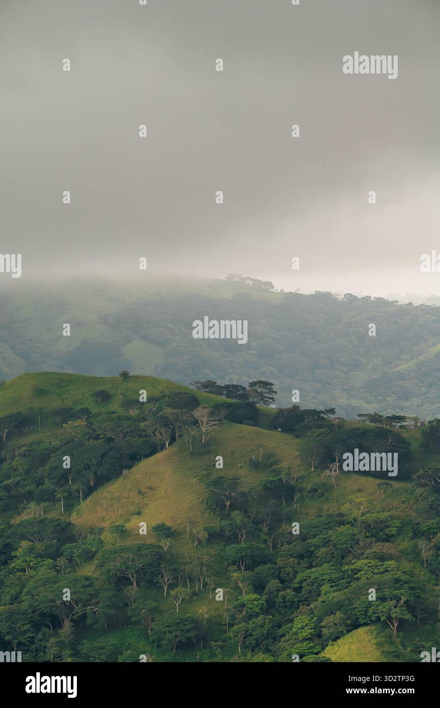 Nebelige grüne Hügel und Nebelwälder in Monteverde, Costa Rica Stockfoto