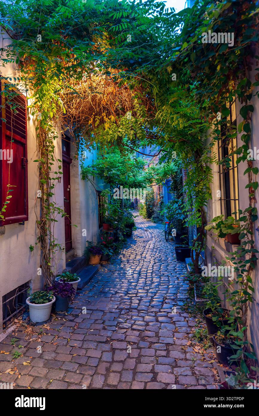 Versteckte mittelalterliche Gasse mit Kopfsteinpflaster im alten Brüssel bei Nacht, Belgien Stockfoto