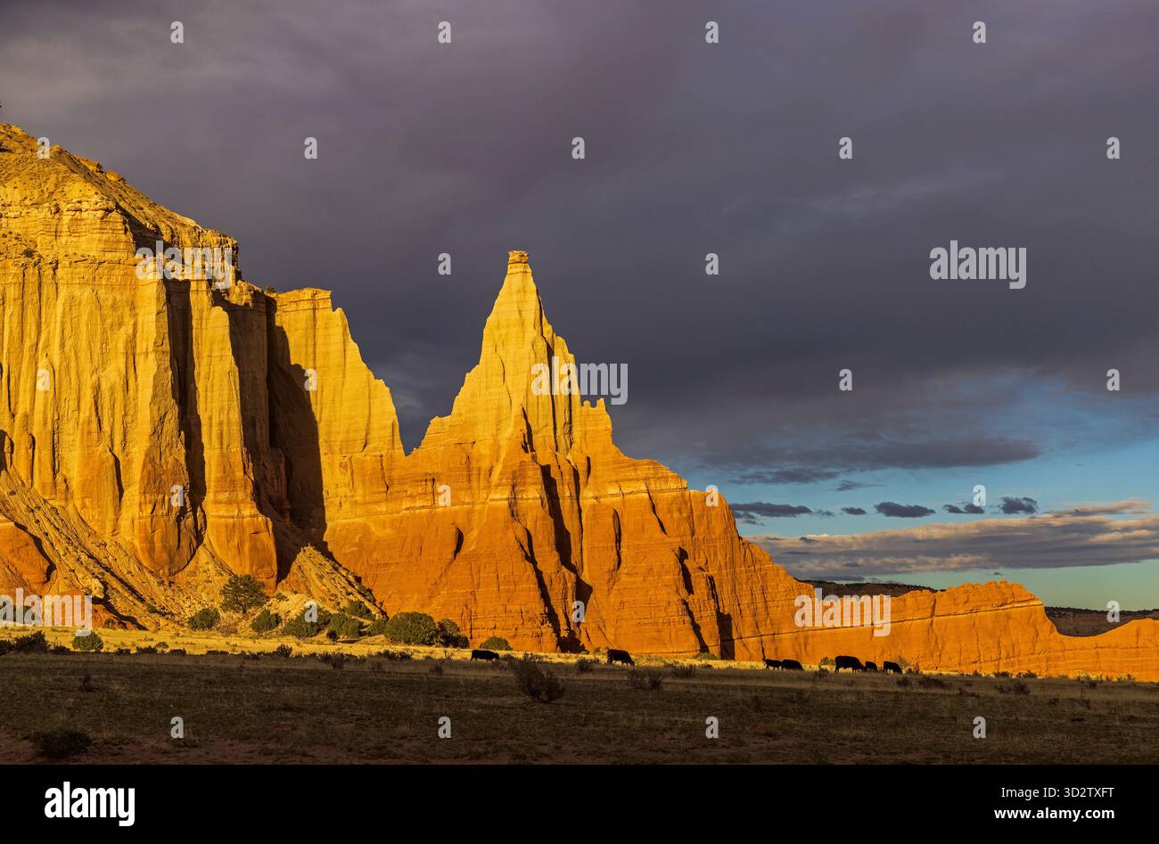 Die untergehende Sonne erleuchtet den Sandsteinturm, bekannt als Cannonville Colossus in der Nähe von Cannonville, Kane County, Utah, USA. Stockfoto