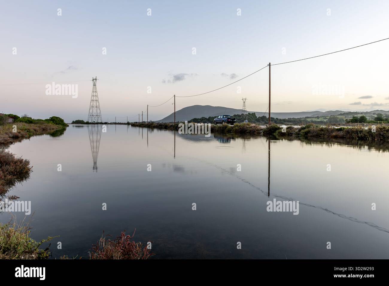 Vormittagslandschaft mit Wildtieren, Feuchtgebiet, Salzwiesen, vor Sonnenaufgang. Stockfoto