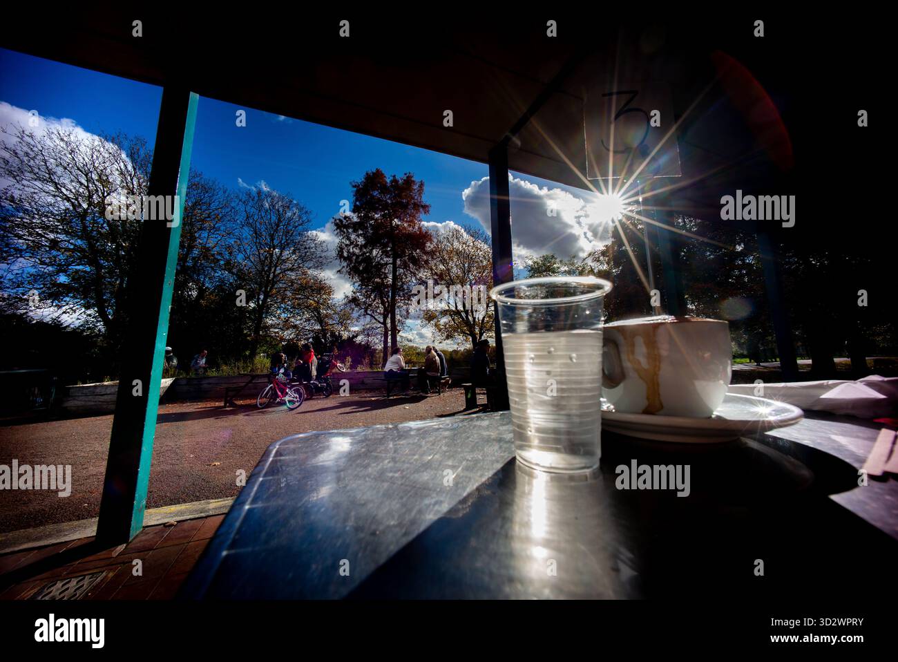 Sonnenschein, Sonnenschein im Objektiv, Parliament Hill Café London England, Stockfoto