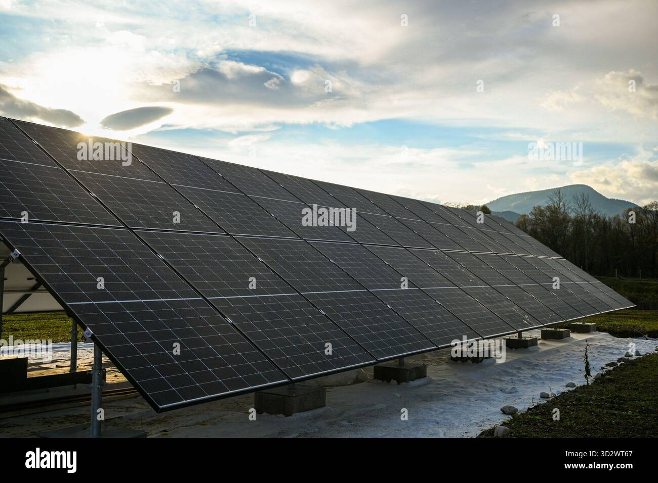 Solarpaneele absorbieren Sonnenlicht und erzeugen sauberen, nachhaltigen Strom an einem sonnigen Tag. Stockfoto