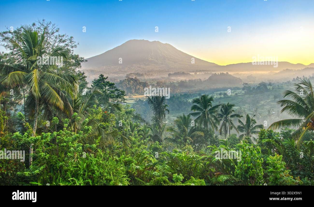 Typisch grüne balinesische Landschaft mit dem Vulkan Mt.Agung im Hintergrund Stockfoto