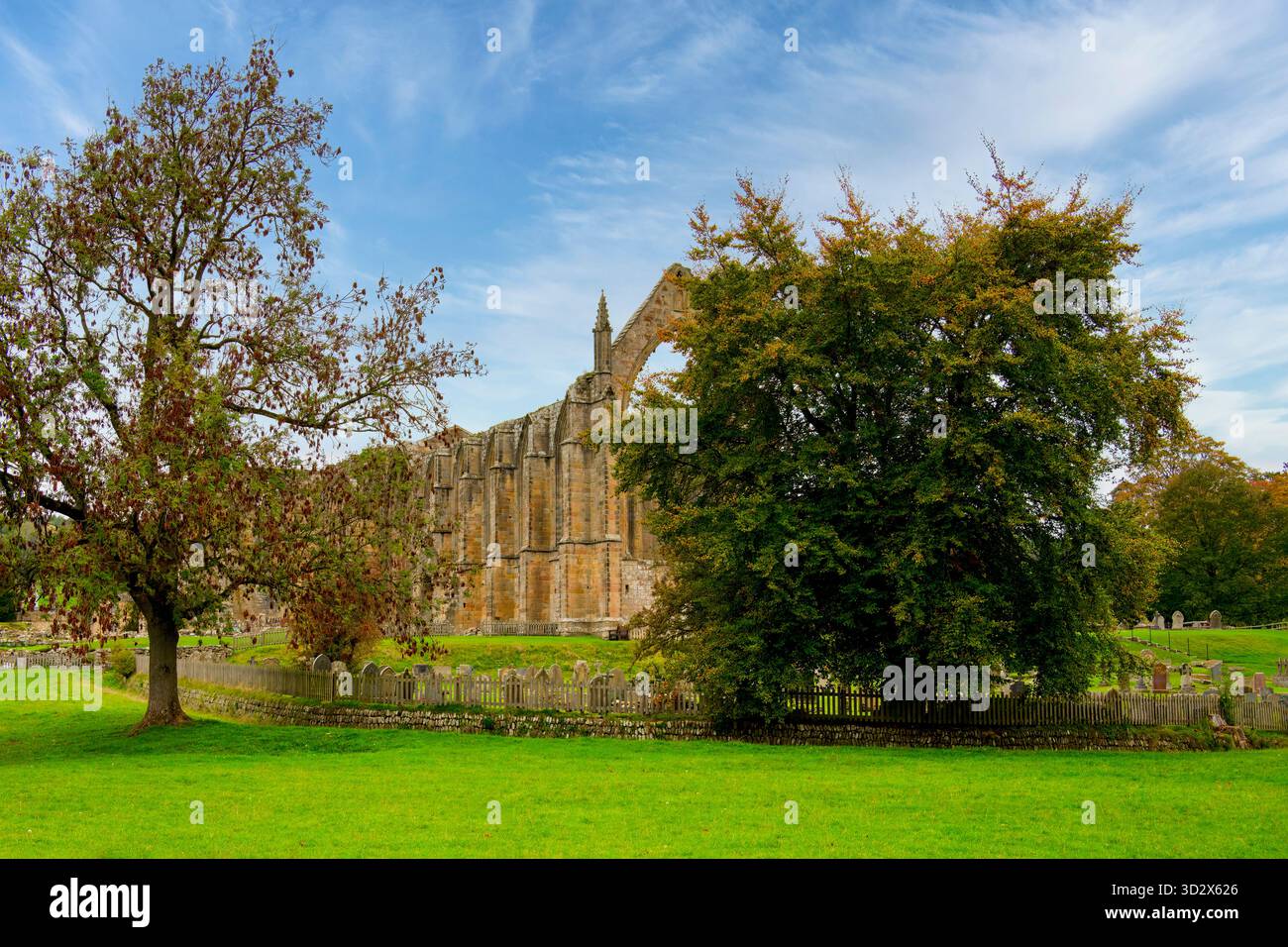 Ein Blick über Gras zu den Ruinen von Bolton Abbey, North Yorkshire, Großbritannien Stockfoto