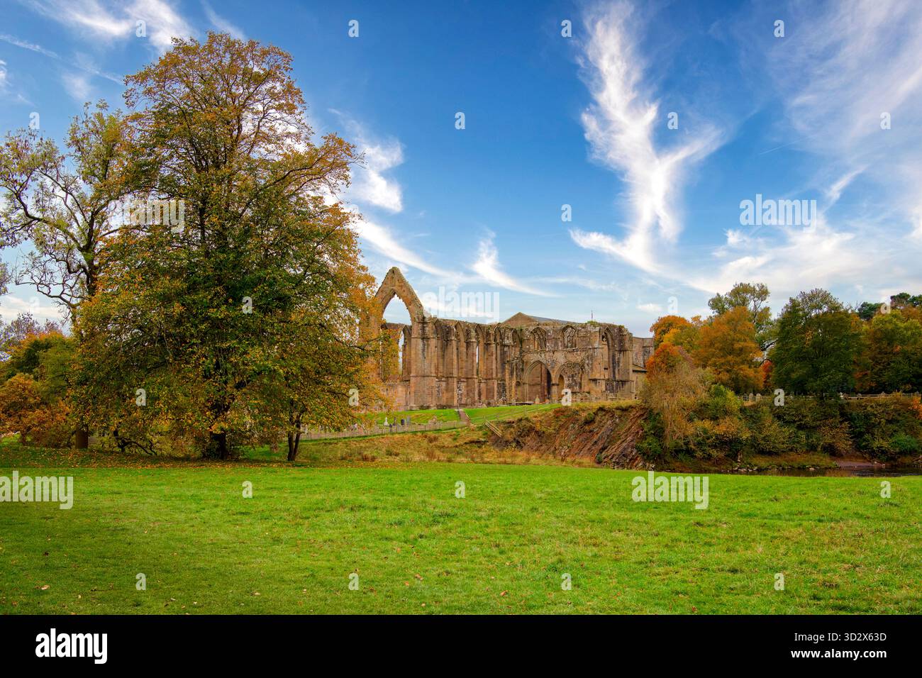 Ein Blick über Gras zu den Ruinen von Bolton Abbey, North Yorkshire, Großbritannien Stockfoto