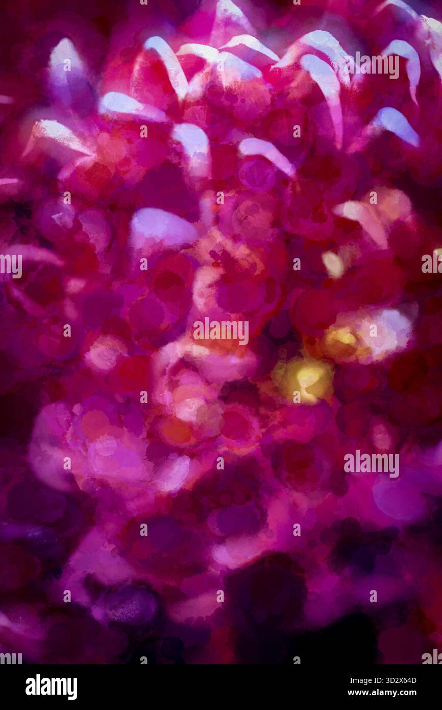 Malerische florale Abstraktion mit Schichten aus Magenta, Violett und sanften Rosa, die sich in fließendem Licht vermischen und Tiefe, Wärme und emotionale Resonanz hervorrufen Stockfoto