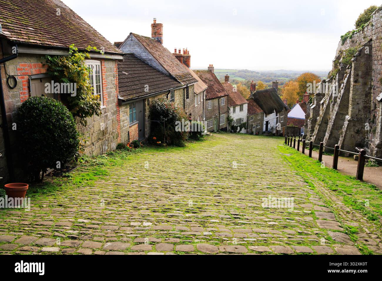 Blick hinunter auf den legendären Gold Hill, Shaftsbury, Dorset, England. Berühmt für den Hovis TV-Werbespot aus den 1980er Jahren Stockfoto