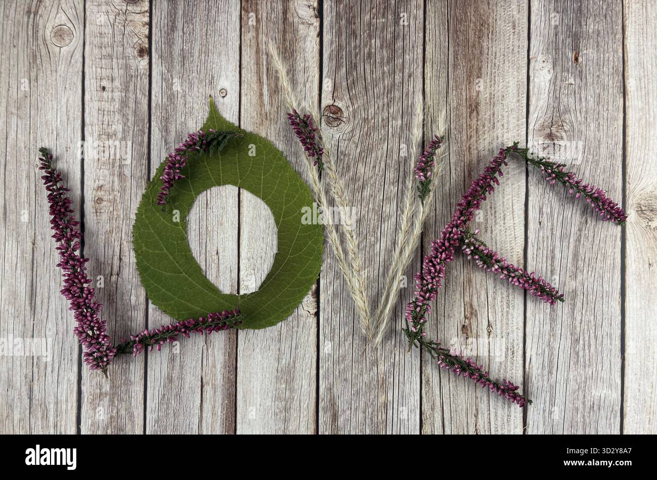 ECO Love Komposition aus natürlichen Blättern und Heidekraut Blumen auf rustikalen Holzdielen, die Nachhaltigkeit und handgemachte Kreativität symbolisieren - Smartphone-aufgenommenes Stockfoto