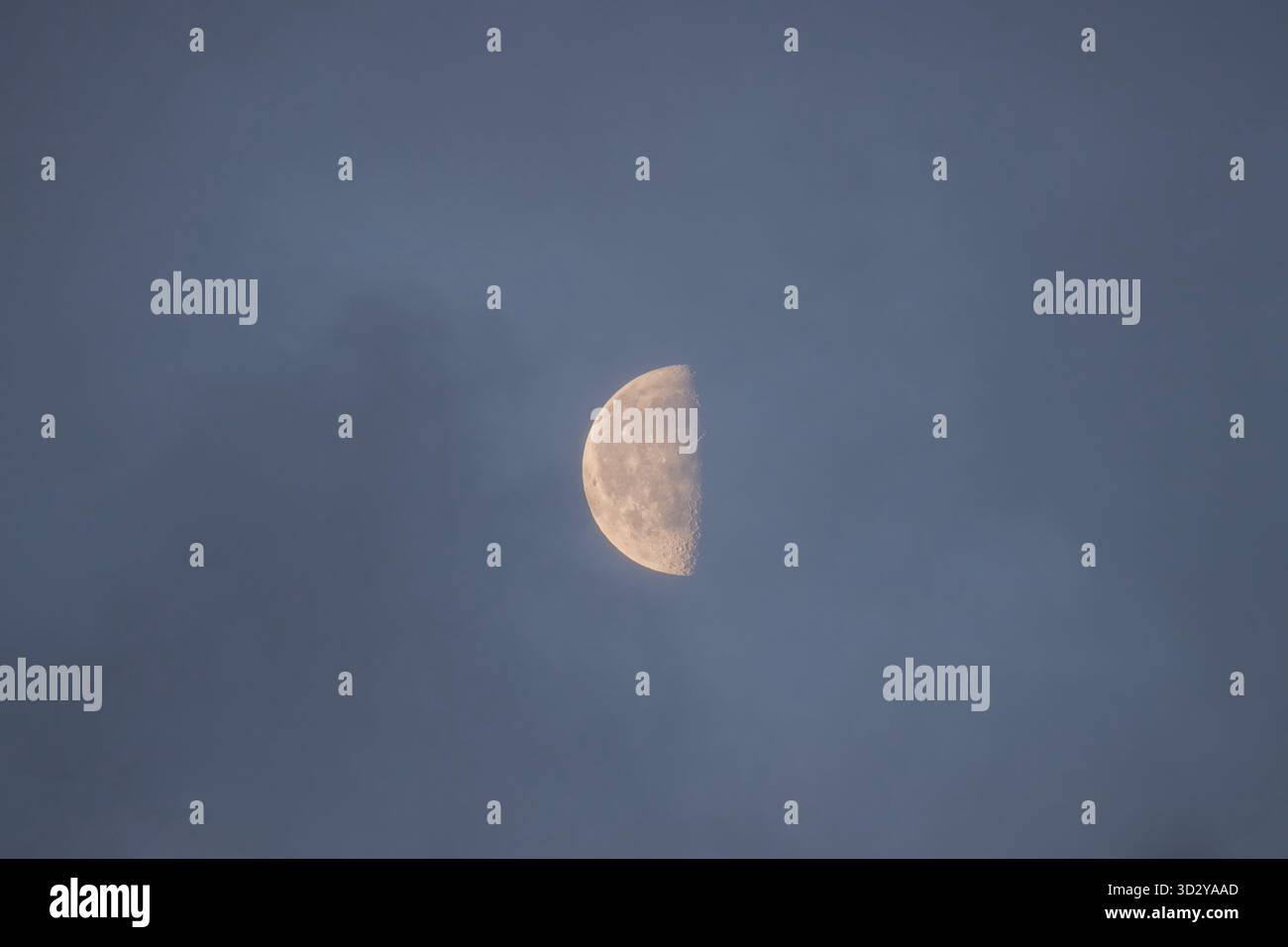 Halbmond am frühen Nachthimmel Stockfoto