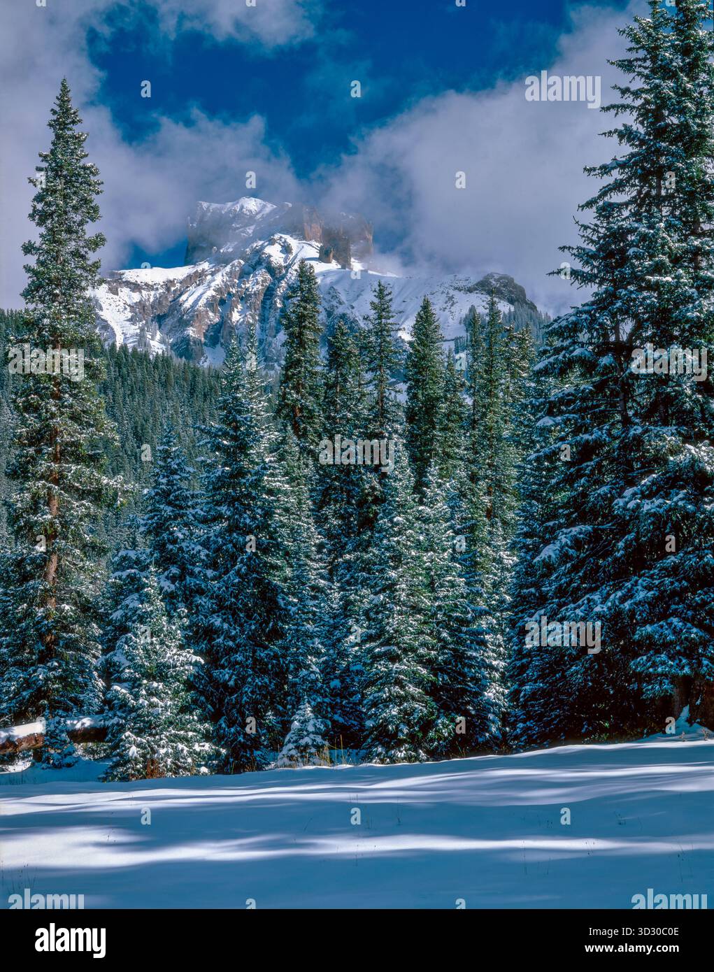 Preak, Uncompahgre National Forest, Colorado Stockfoto
