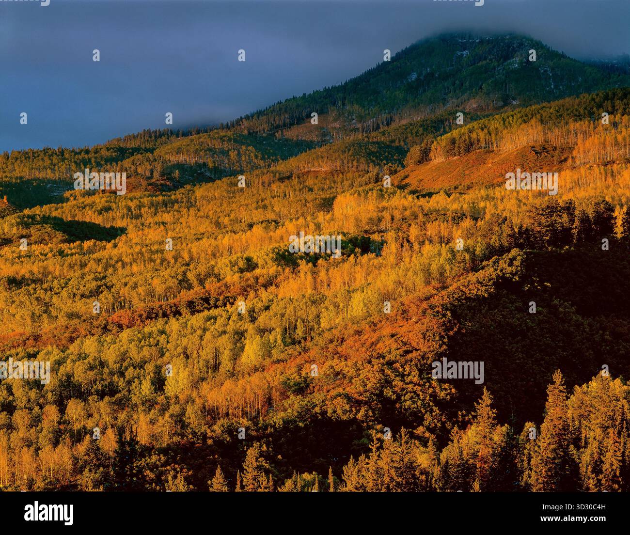 Letztes Licht, cimmaron Ridge, Uncompahgre National Forest, Colorado Stockfoto