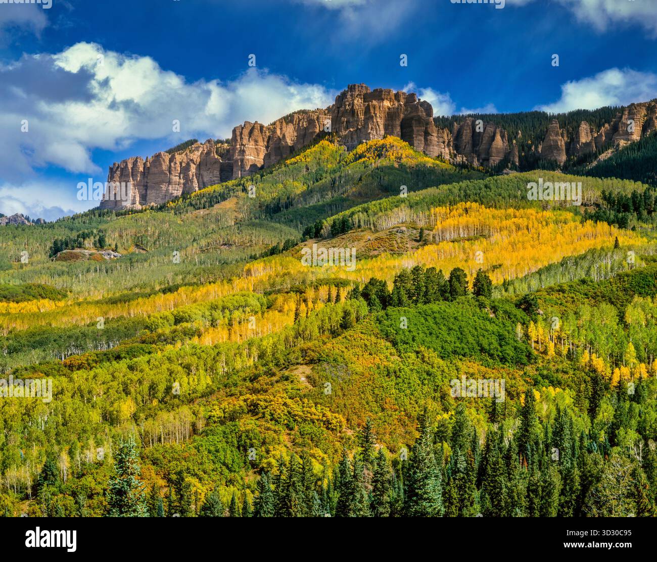 Cimarron Ridge, Uncompahgre National Forest, Colorado Stockfoto