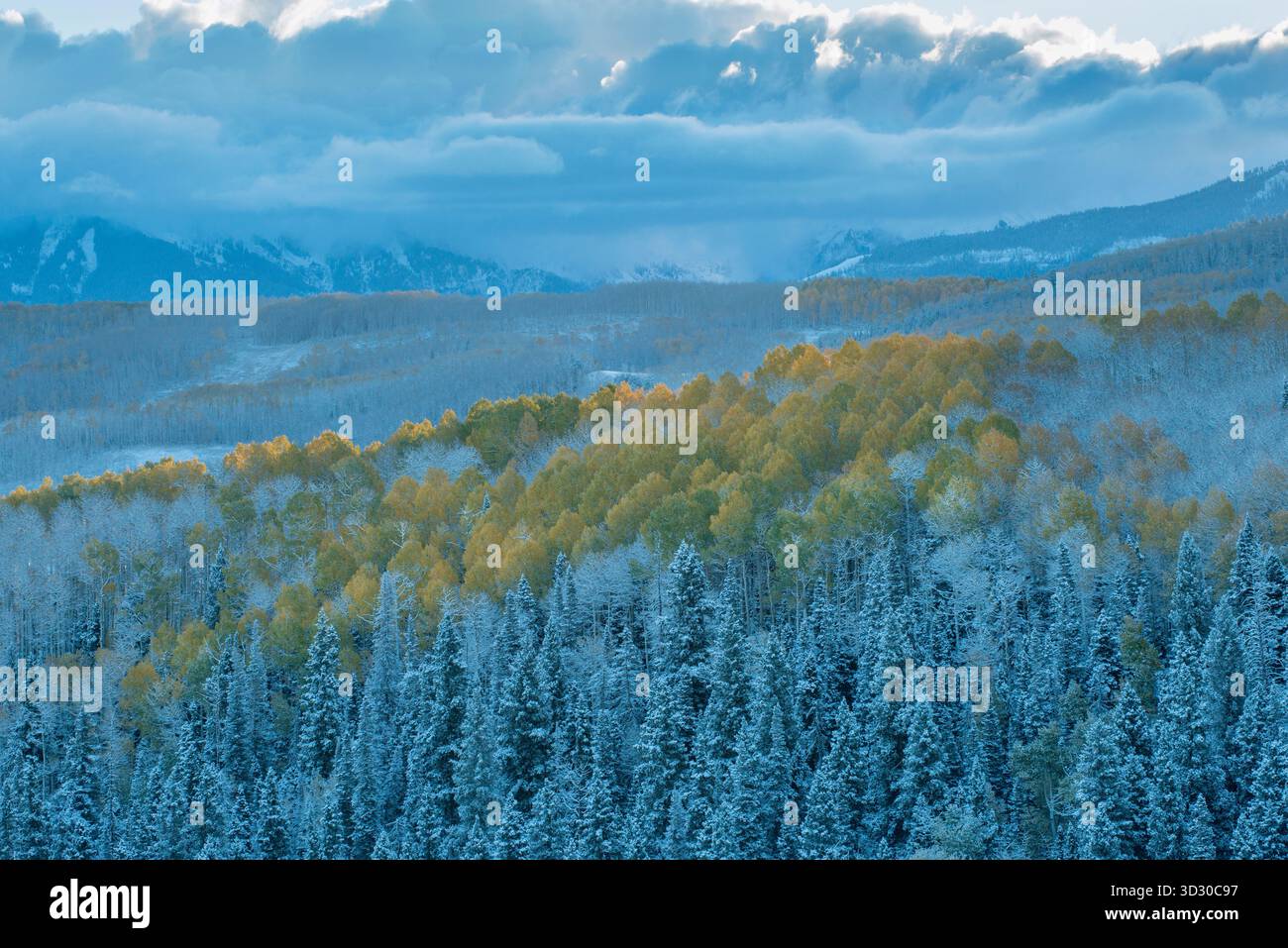 Clearing Sturm, Aspen, Wilson Mesa, Uncompahgre National Forest, Colorado Stockfoto