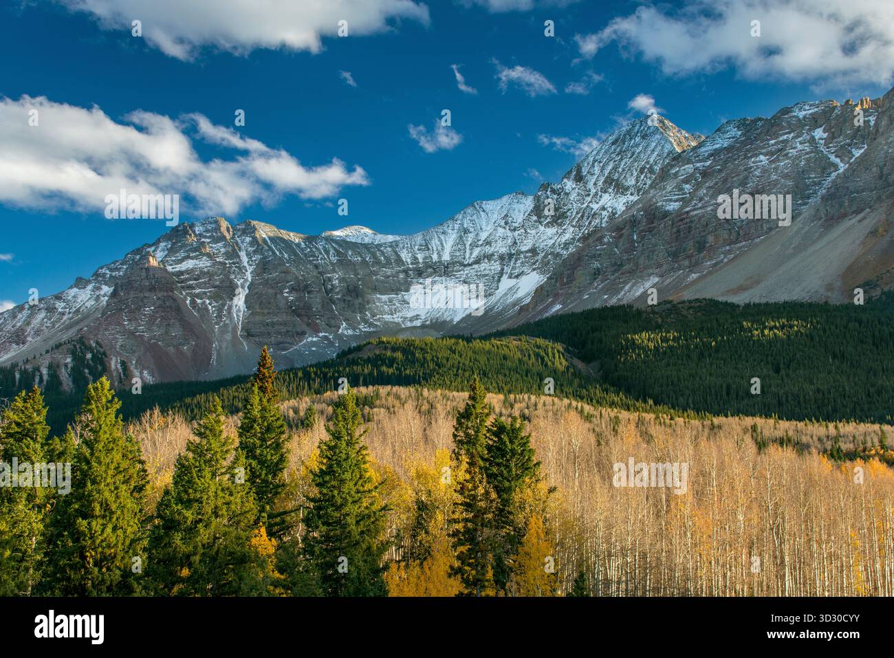 Wilson Peak, Aspen, Wilson Mesa, Uncompahgre National Forest, Colorado Stockfoto