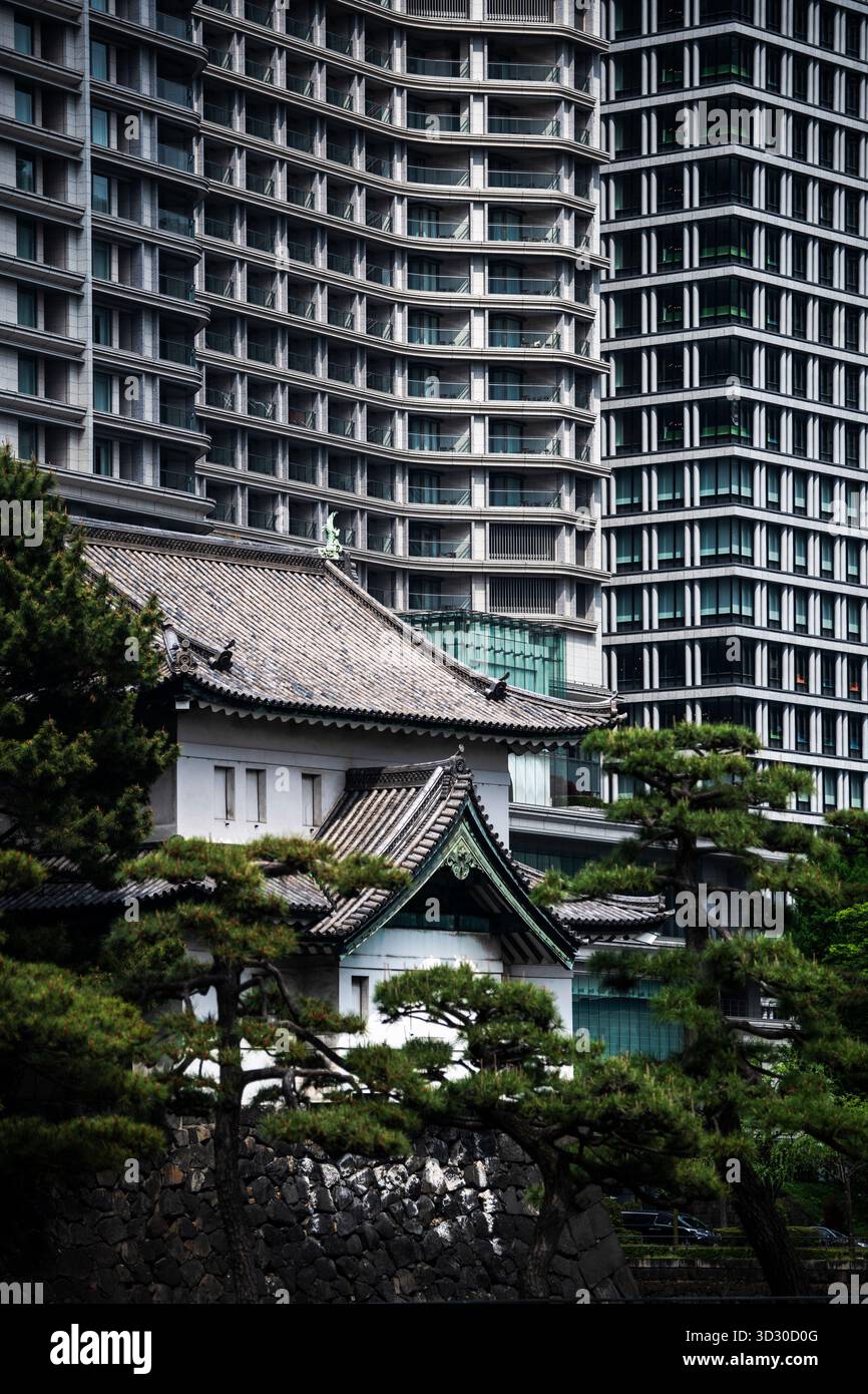 Künstlerische Architekturfotografie, die Tokios Skyline, moderne Geometrie und minimalistisches Design einfängt und Innovation und urbane Schönheit zeigt. Stockfoto