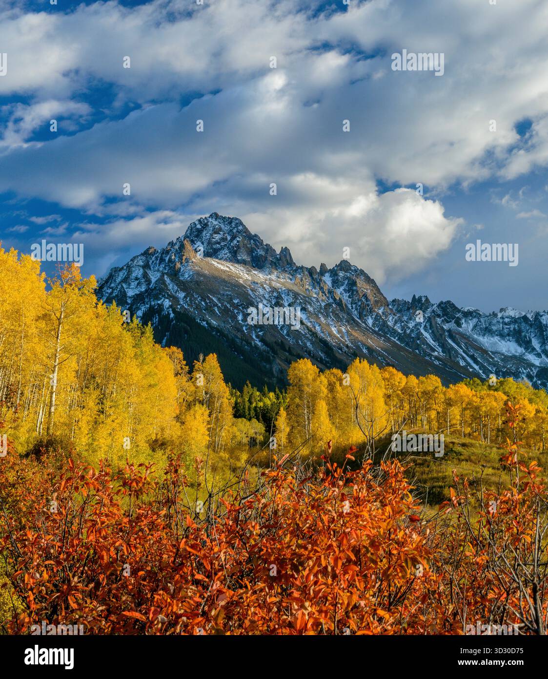 Aspen, Chokecherry, Mount Sneffels, Dallas Divide, Uncompahgre National Forest, Colorado Stockfoto