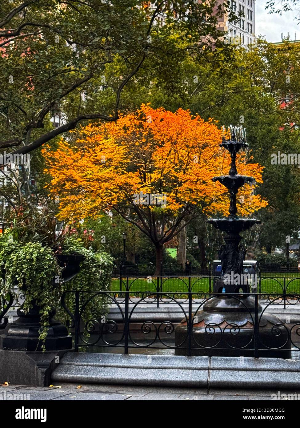 Herbstlaub und historischer Brunnen im Madison Square Park, New York City, umgeben von Bäumen und Stadtgebäuden an einem ruhigen Herbstnachmittag. - Smartphone-aufgenommenes Stockfoto