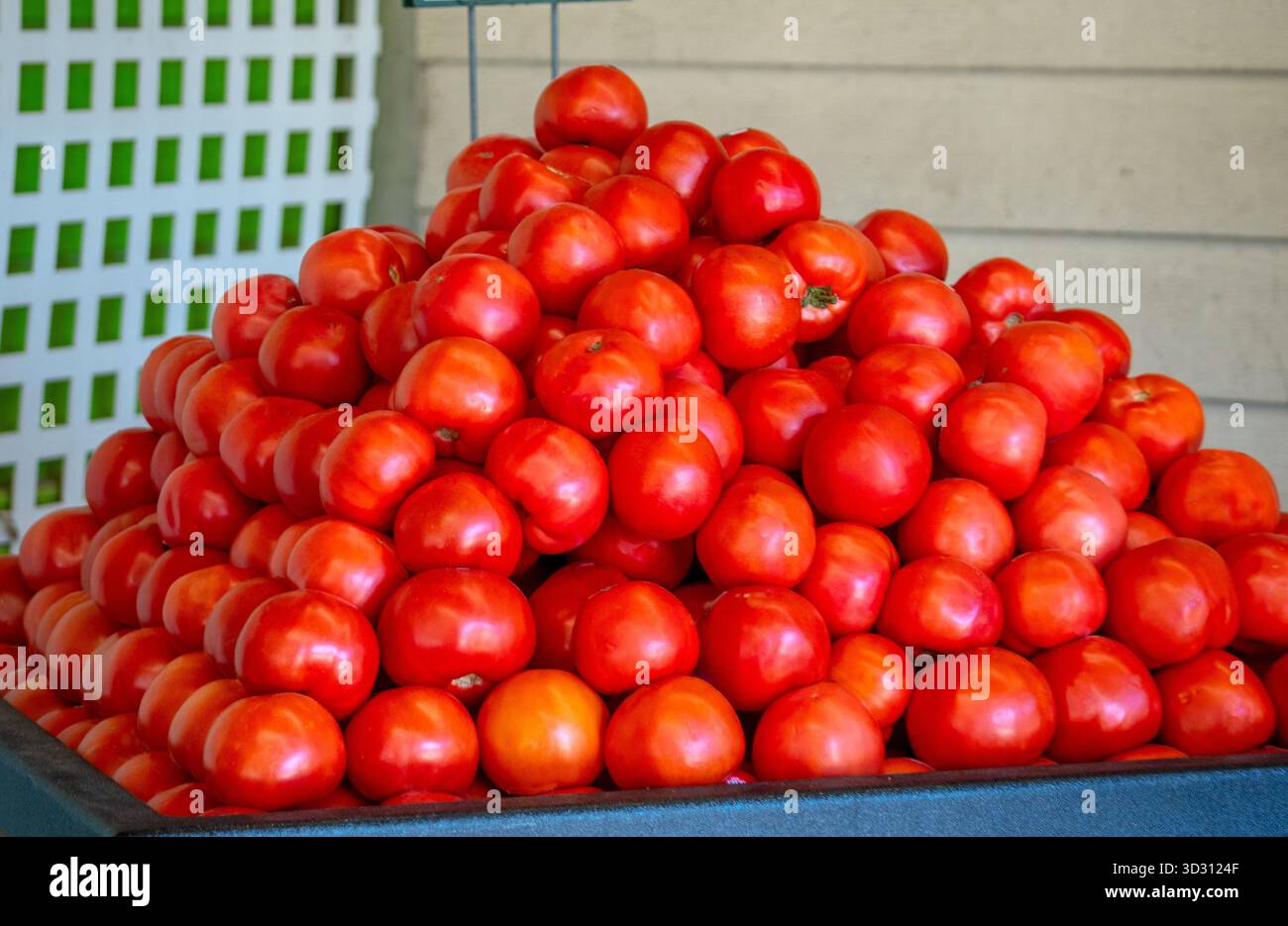 Ein großer Stapel Tomaten stapelt sich wie eine Pyramide auf einem Tisch auf dem Bauernmarkt Stockfoto