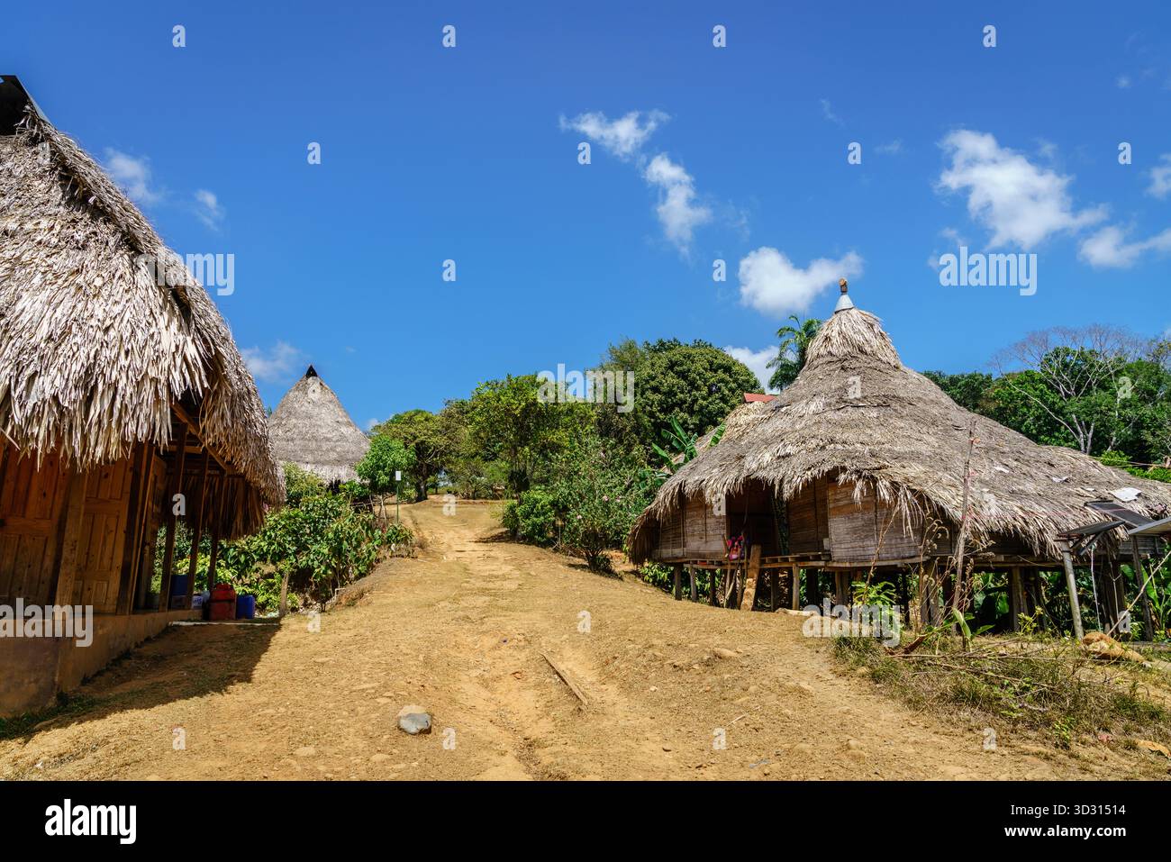 Zentrale Straße und Häuser eines traditionellen Embera-Dorfes in Zentral-Panama Stockfoto
