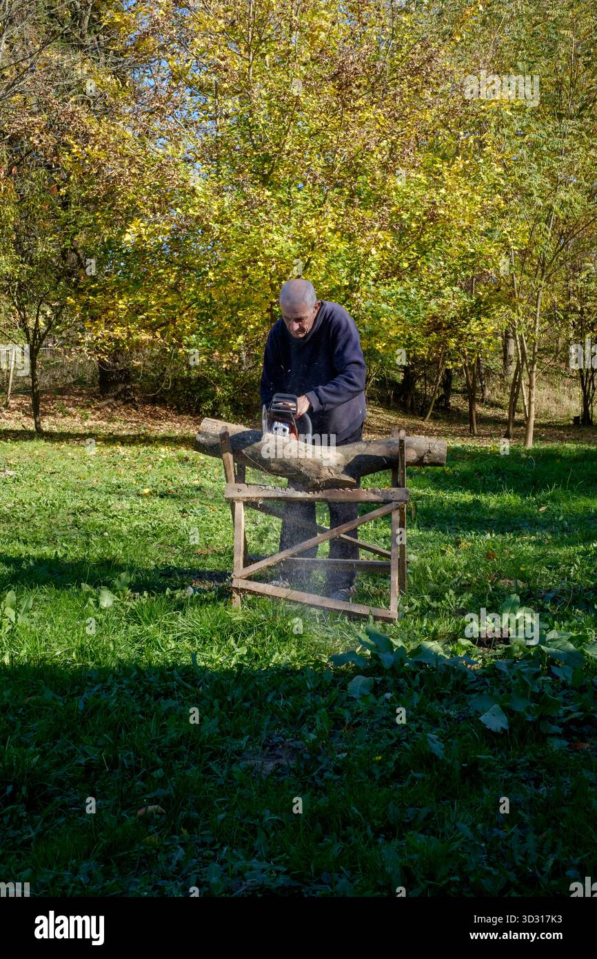 Älterer Mann, der mit einer Motorsäge Holz für Brennstoff schneidet, um sich auf die bevorstehende Wintersaison vorzubereiten Stockfoto