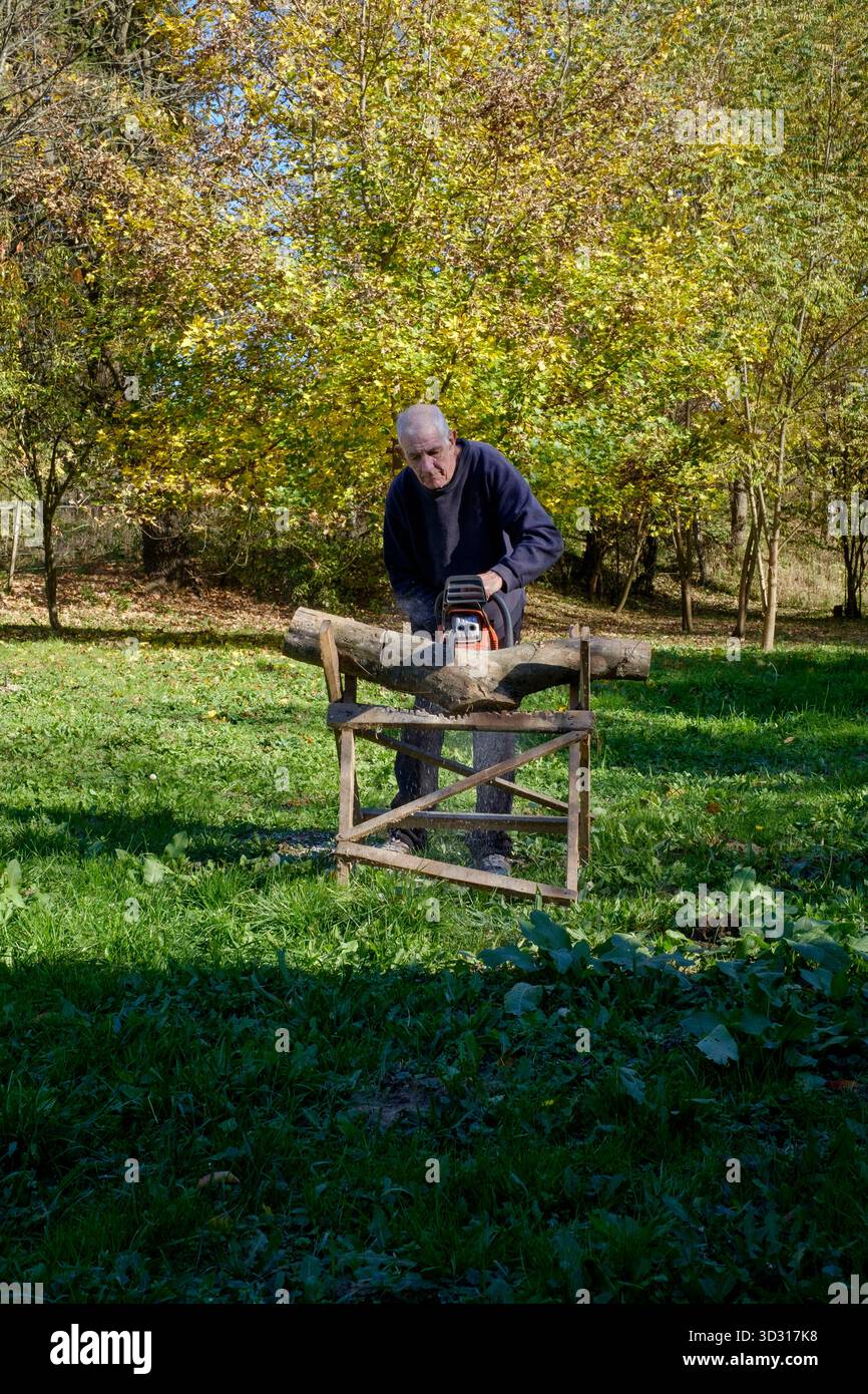 Älterer Mann, der mit einer Motorsäge Holz für Brennstoff schneidet, um sich auf die bevorstehende Wintersaison vorzubereiten Stockfoto