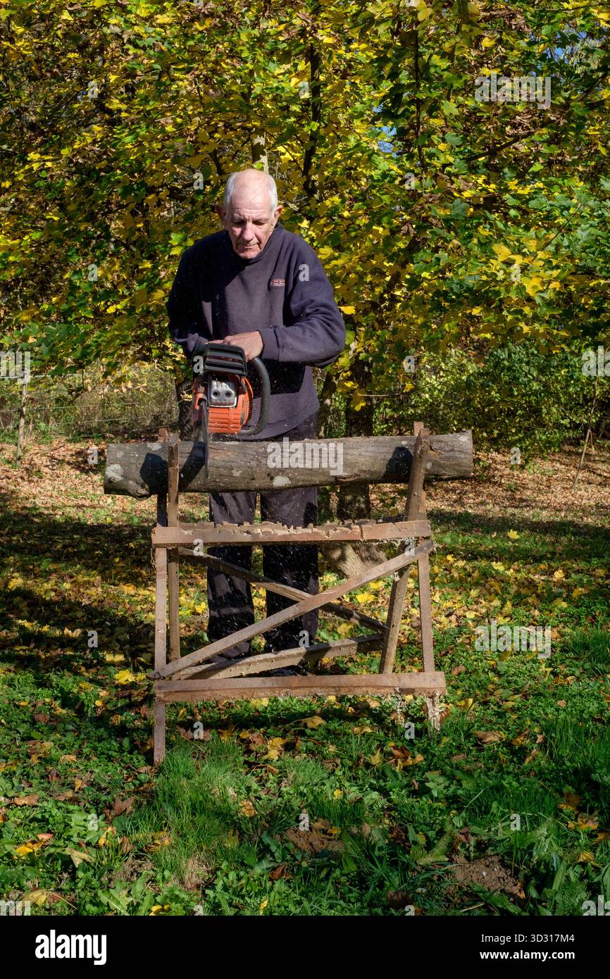 Älterer Mann, der mit einer Motorsäge Holz für Brennstoff schneidet, um sich auf die bevorstehende Wintersaison vorzubereiten Stockfoto