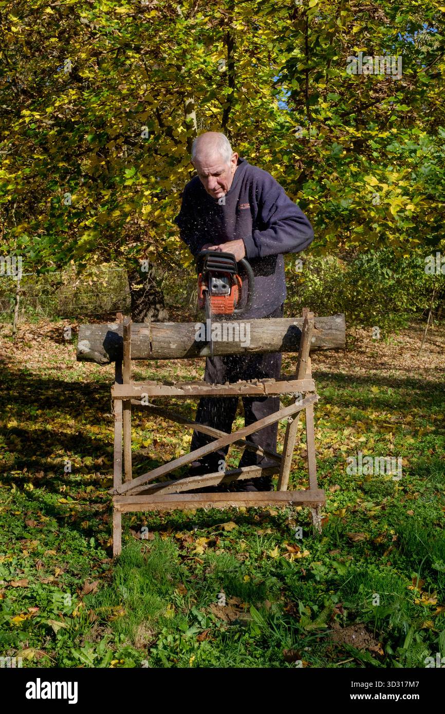 Älterer Mann, der mit einer Motorsäge Holz für Brennstoff schneidet, um sich auf die bevorstehende Wintersaison vorzubereiten Stockfoto