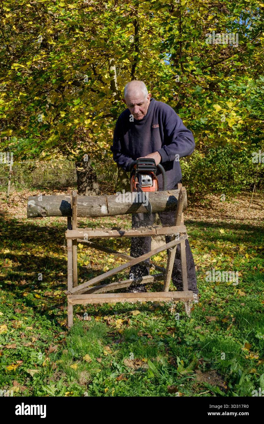 Älterer Mann, der mit einer Motorsäge Holz für Brennstoff schneidet, um sich auf die bevorstehende Wintersaison vorzubereiten Stockfoto