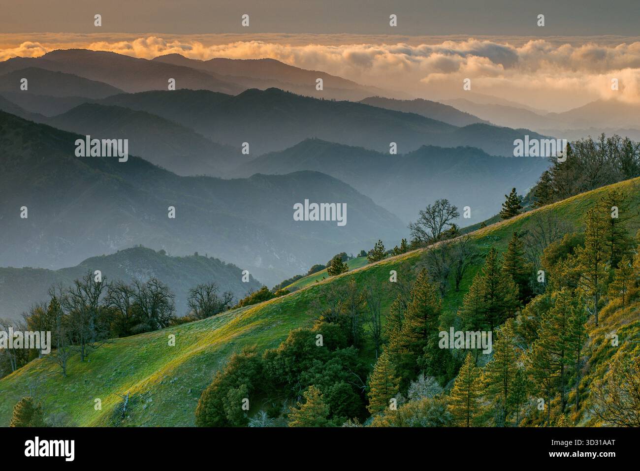 Los Padres National Forest, Big Sur, Monterey County, Kalifornien Stockfoto