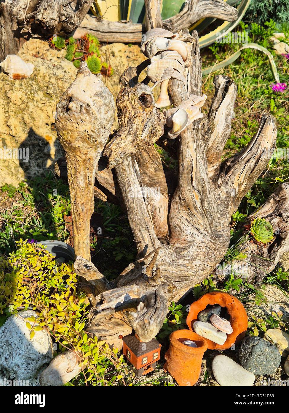 Dekorative Trockenwurzeln als zentrales Element eines Gartenbeetes - Smartphone-aufgenommenes Stockfoto