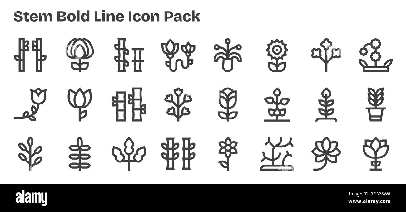 Kuratiertes Paket mit 24 Vektorsymbolen in Bold Outline Design, das sich um Stammkonzepte dreht. Stock Vektor