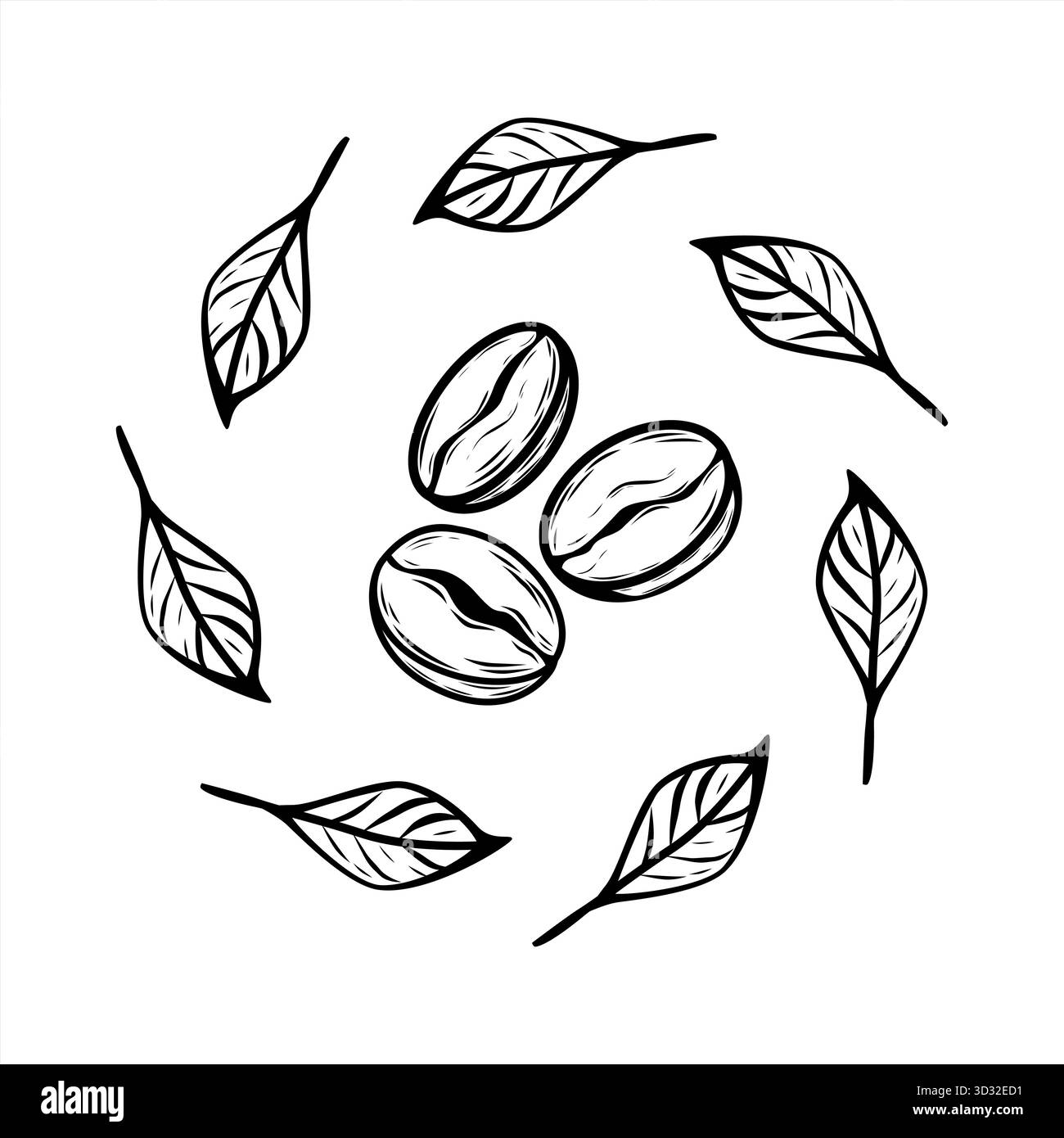 Elegante Kaffeebohnen- und Blattkreise im minimalistischen Stil. Perfekter Vektor für Café-Logo, Branding, Verpackung, Etiketten und modernes Dekor-Design. Stock Vektor
