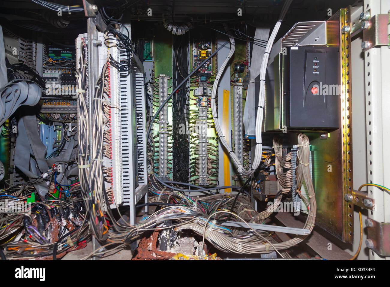 Mehrere angeschlossene Serverkabel in einem Verteilerkasten. Stockfoto