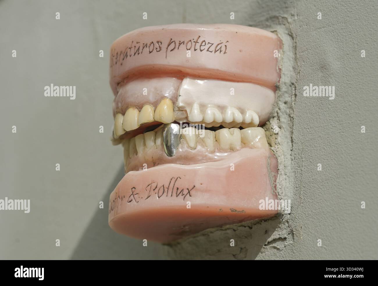 Gebiss, Castor und Pollux, Literatu Gatve, Vilnius, Litauen Stockfoto