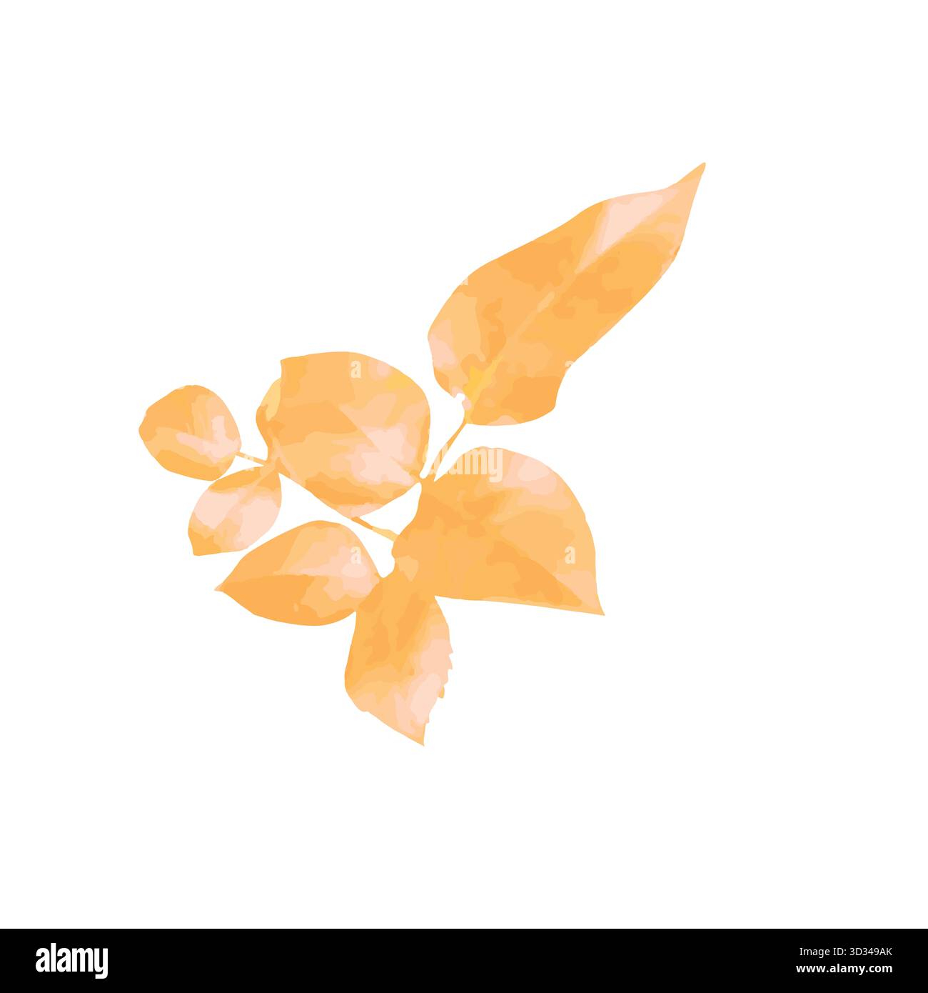 Aquarellrosenblatt isoliert auf weißem Hintergrund Stockfoto