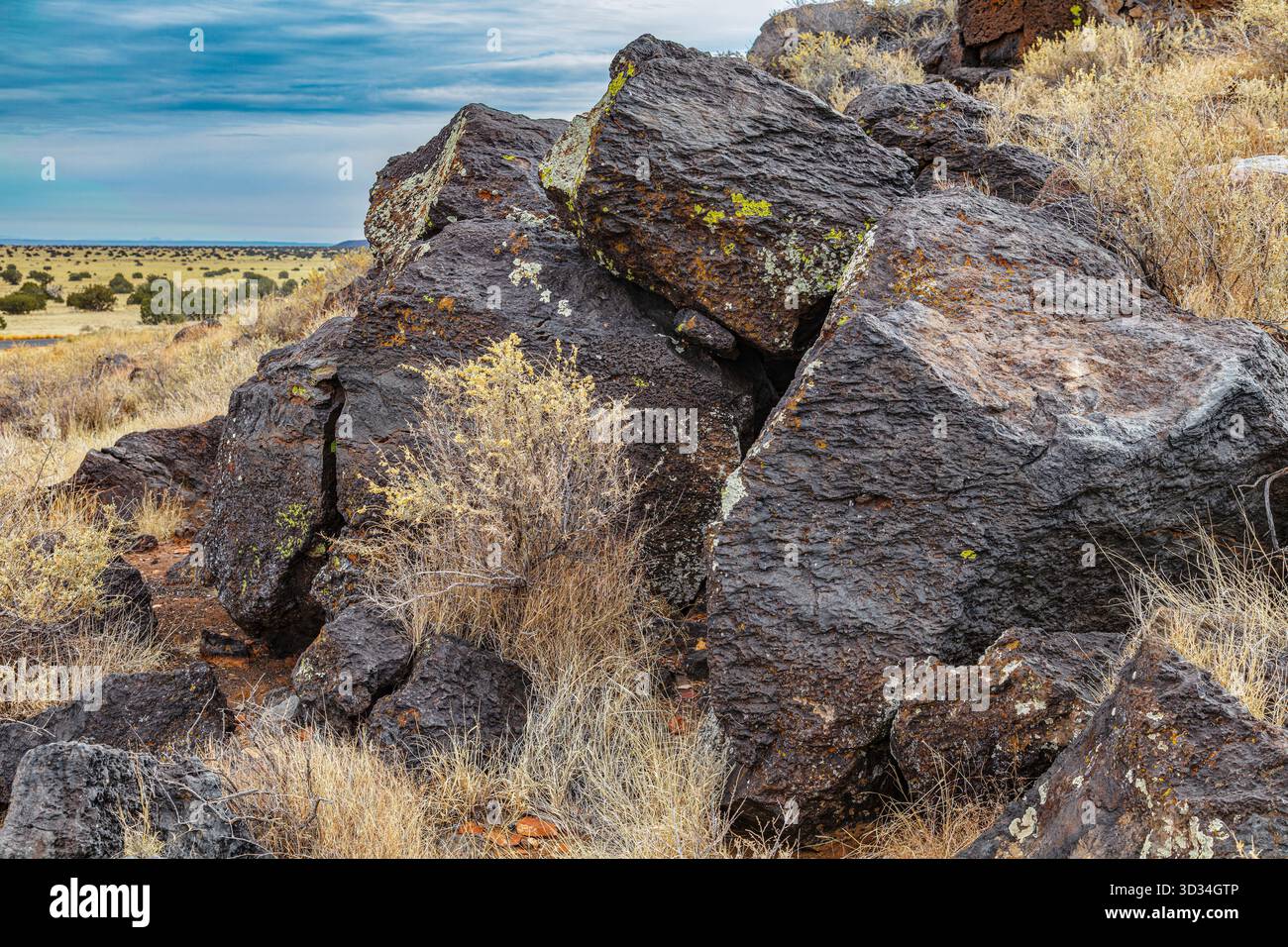 Zerklüftete Blöcke basaltischer Lava liegen verstreut über das Hochwüstenrasenland in der Nähe des Sunset Crater Volcano National Monument im Norden von Arizona, Remna Stockfoto