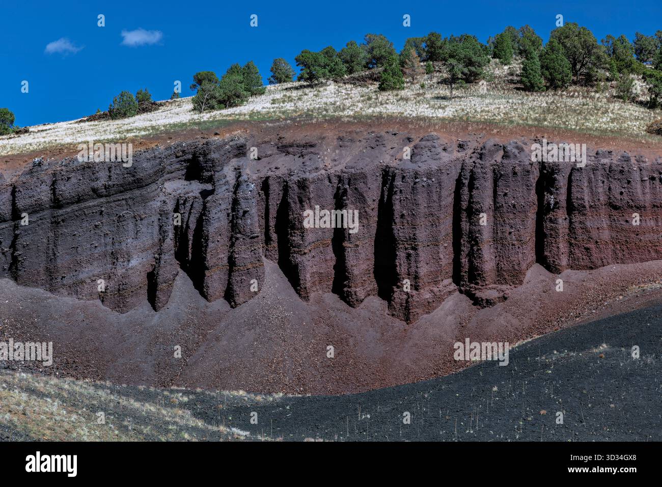 Vulkanische Schichten vom Springerville Vulkanfeld in der Nähe von Greer, Arizona. Stockfoto