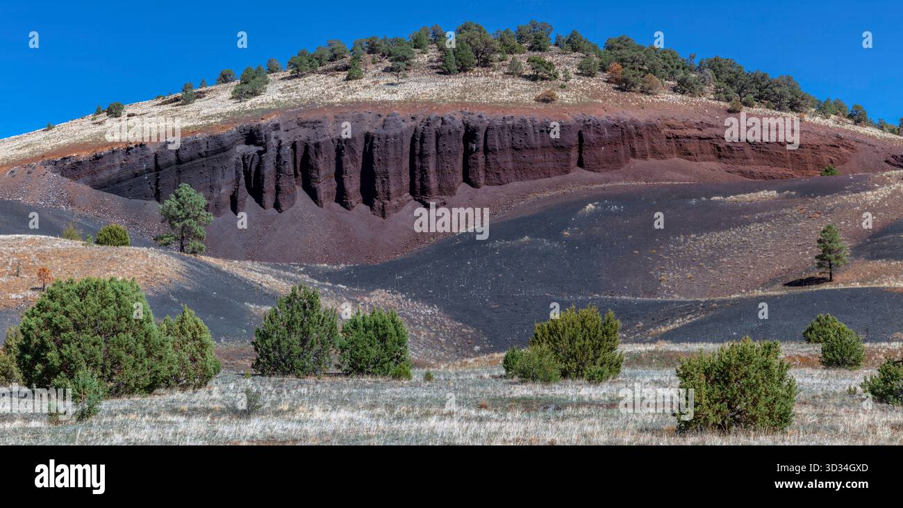 Vulkanische Schichten vom Springerville Vulkanfeld in der Nähe von Greer, Arizona. Stockfoto