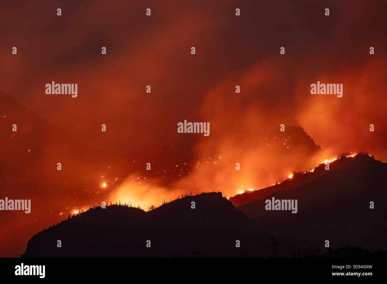 Die Flammen des Big Horn Fire reißen über die steilen Hänge der Santa Catalina Mountains oberhalb von Tucson, Arizona. Stockfoto